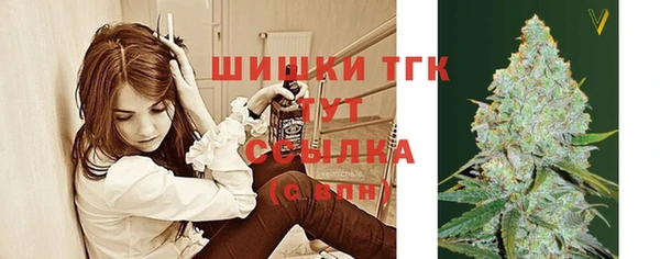 прущие крисы Абаза