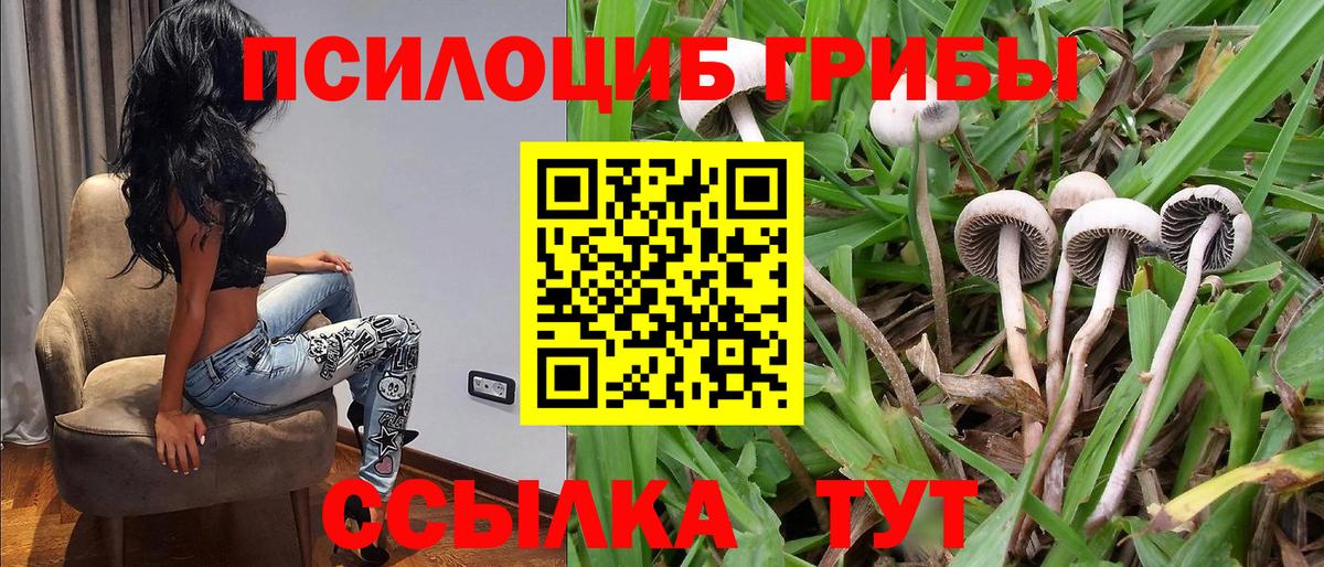 Псилоцибиновые грибы GOLDEN TEACHER  Вход с VPN  Волоколамск  Галлюциногенные грибы мухоморы 